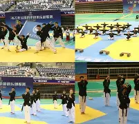包含漠南黑豹队对阵剑门鲸鲨队，跆拳道联赛火力全开，门将神扑救主——技战术储备厚实的词条